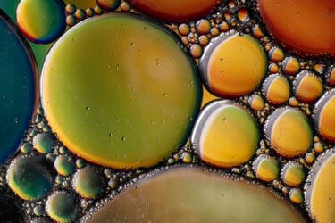 Ross Hoddinott | Nikon magazine