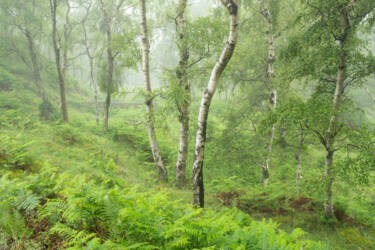 Nigel Danson images for Nikon magazine