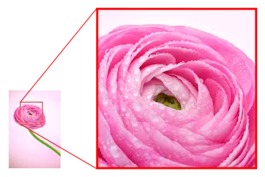 nikon-image