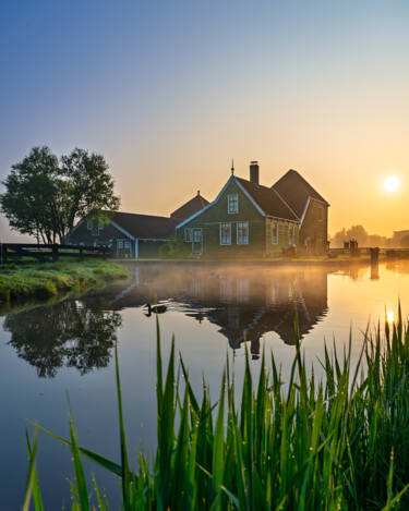 Images for Nikon magazine