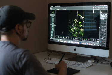 Nikon magazine - camera 101 NX Studio 