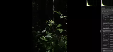 Nikon magazine - camera 101 NX Studio