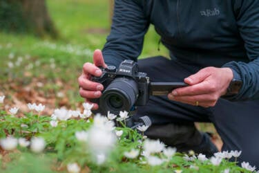 Nikon magazine - macro photography with spring flowers